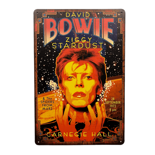 David Bowie Ziggy Stardust Metalen Bord - Reclamebordenshop.nl