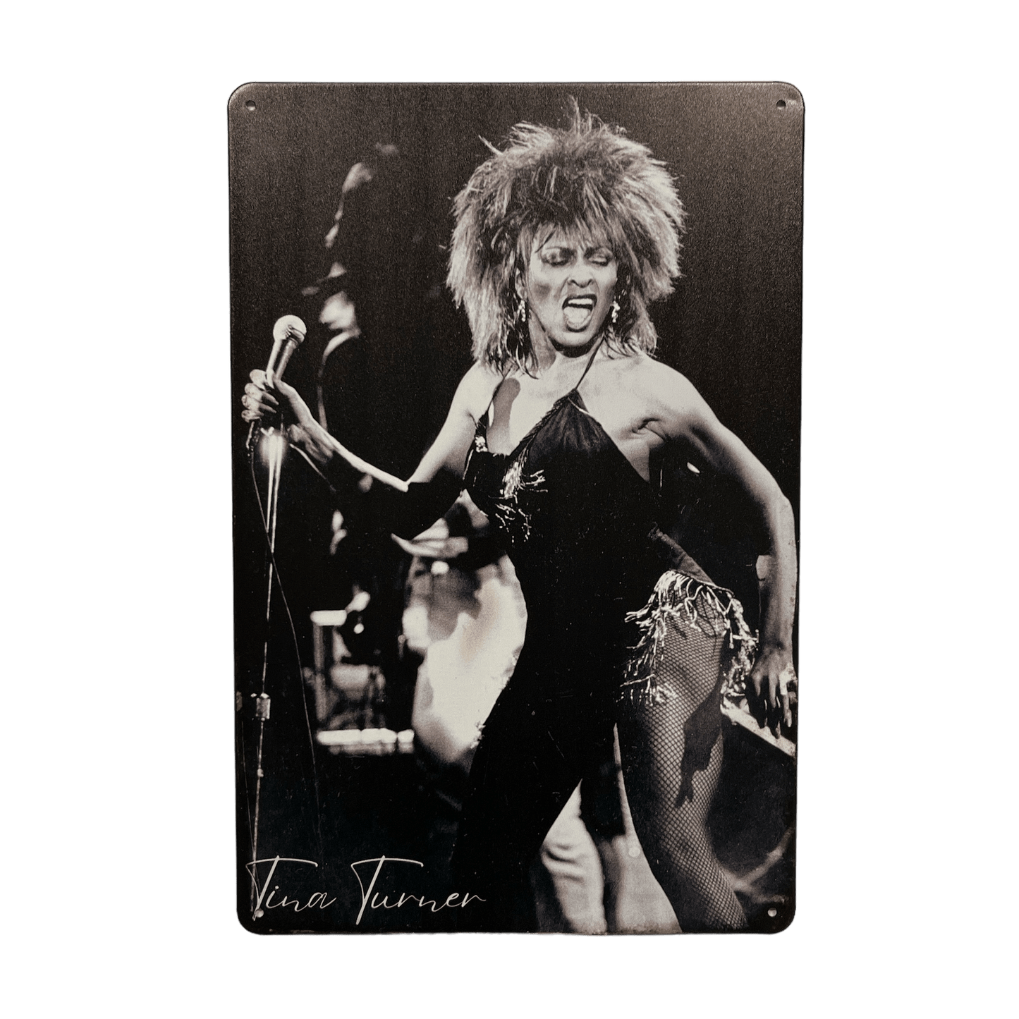 Tina Turner Metalen Bord - Reclamebordenshop.nl