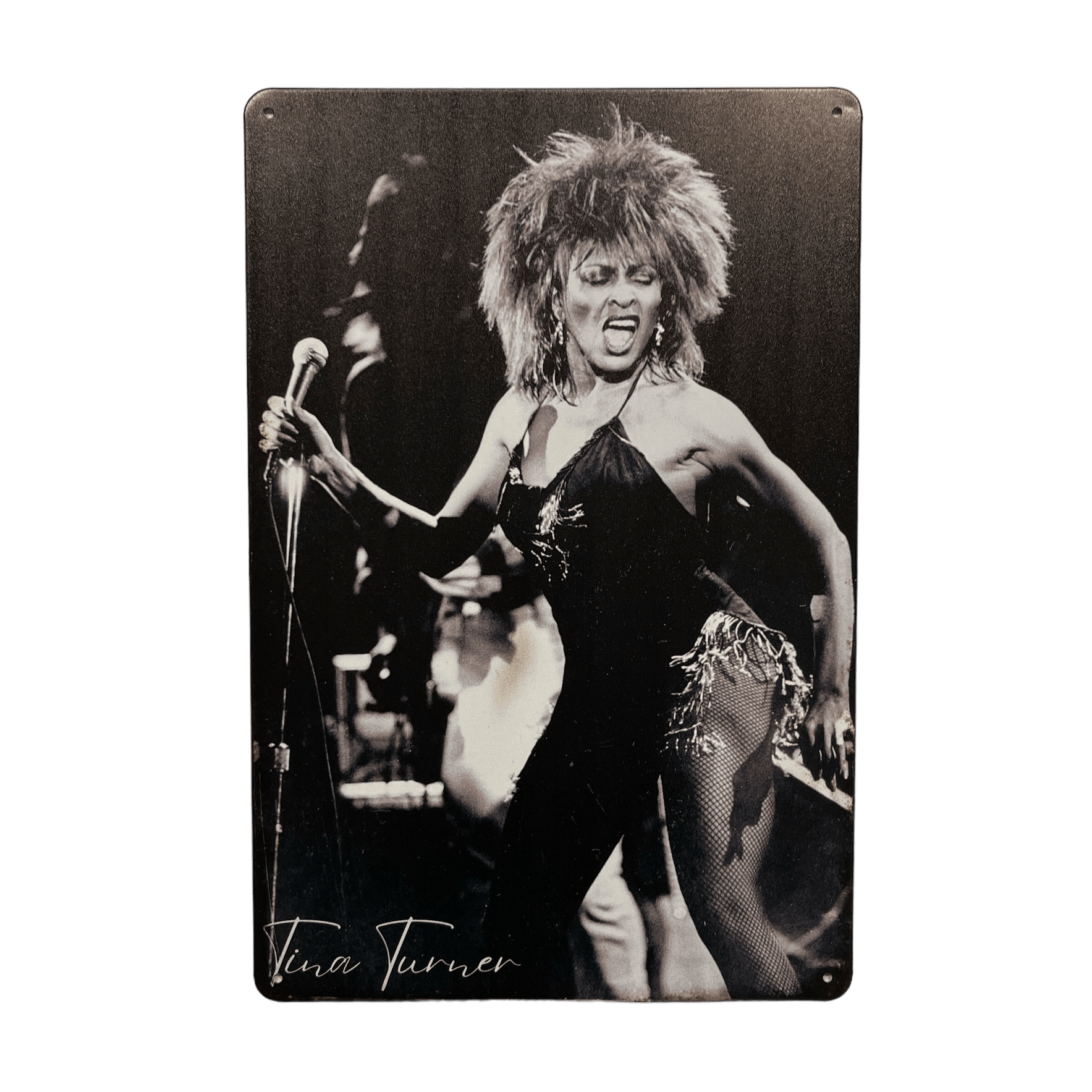 Tina Turner Metalen Bord - Reclamebordenshop.nl